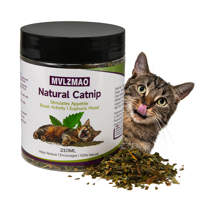 Nettle Leaf Tea - Cat Toys - Silvervine Catnip for