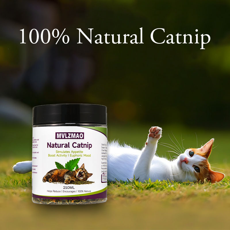 Cat Toys - Silvervine Catnip f - Nettle Leaf Tea 评论和价格