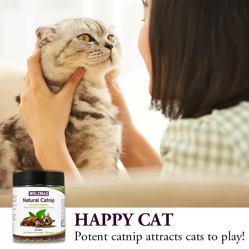 Cat Toys - Silvervine Catnip f - Nettle Leaf Tea 评论和价格